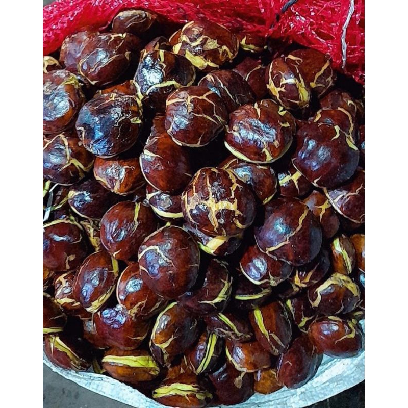 

Jengkol tua super fresh 1kg