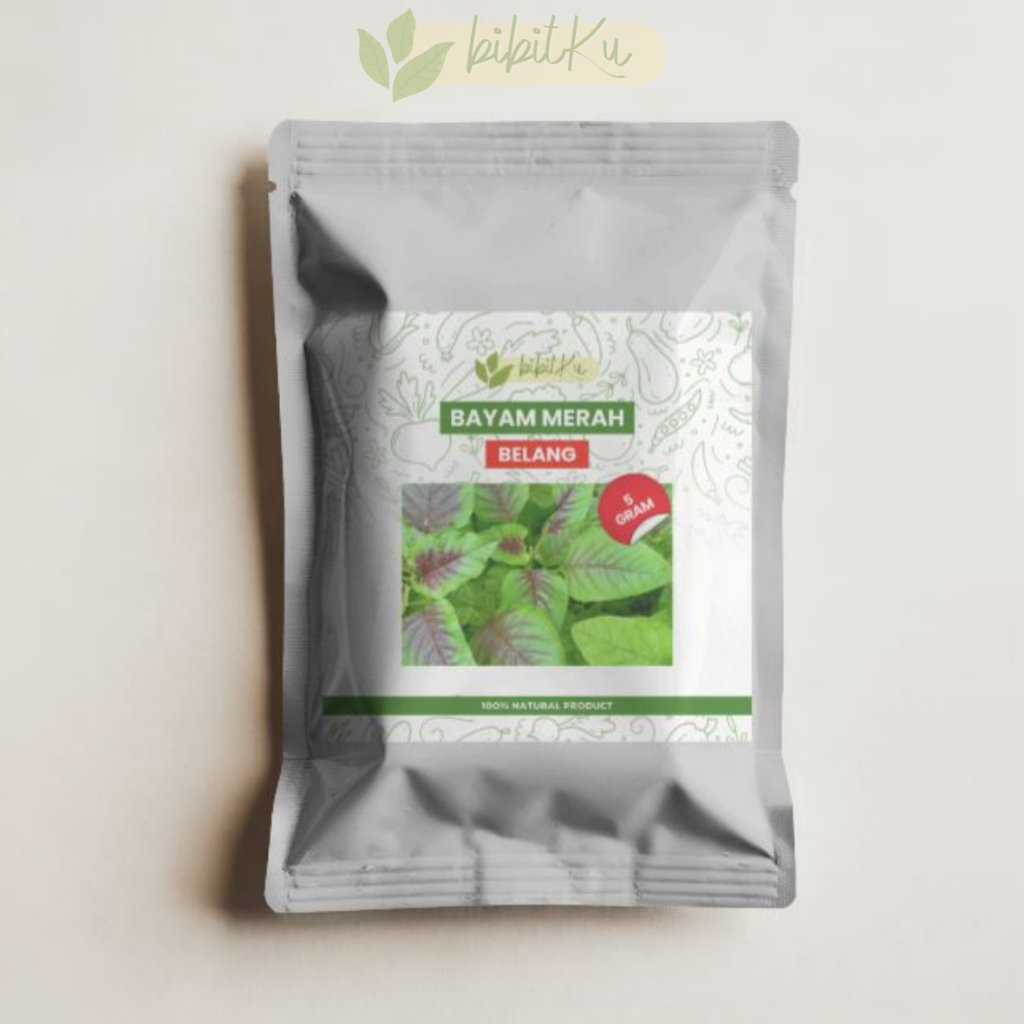 BENIH BAYAM MERAH BELANG BAYAM MERAH