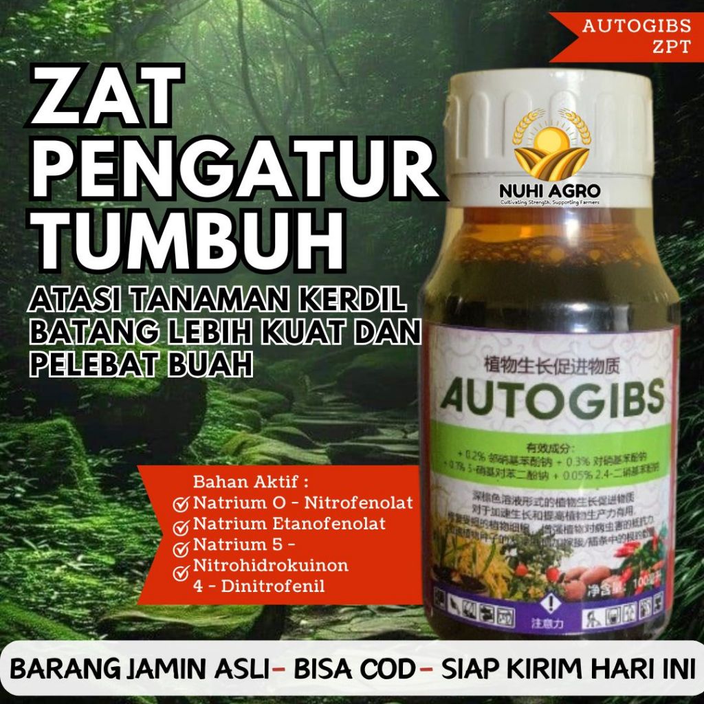 autogibs ZPT, AUTOGIBS PUPUK MENGOBATI PENYAKIT KERDIL PADI ASAM-ASAMAN DAN PERTUMBUHAN