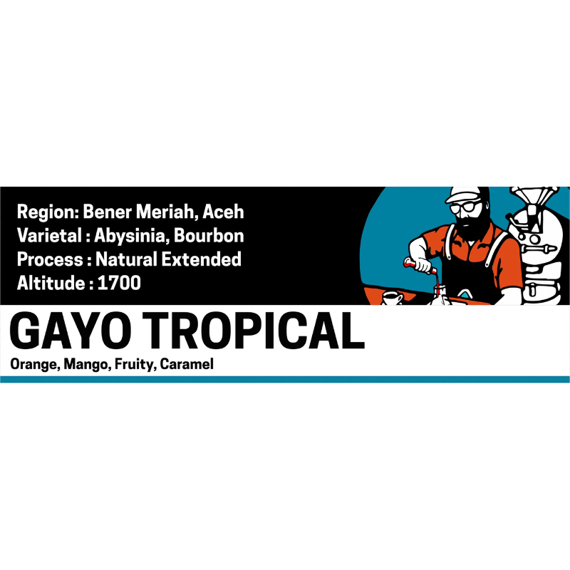

Gayo Tropical Natural Extended