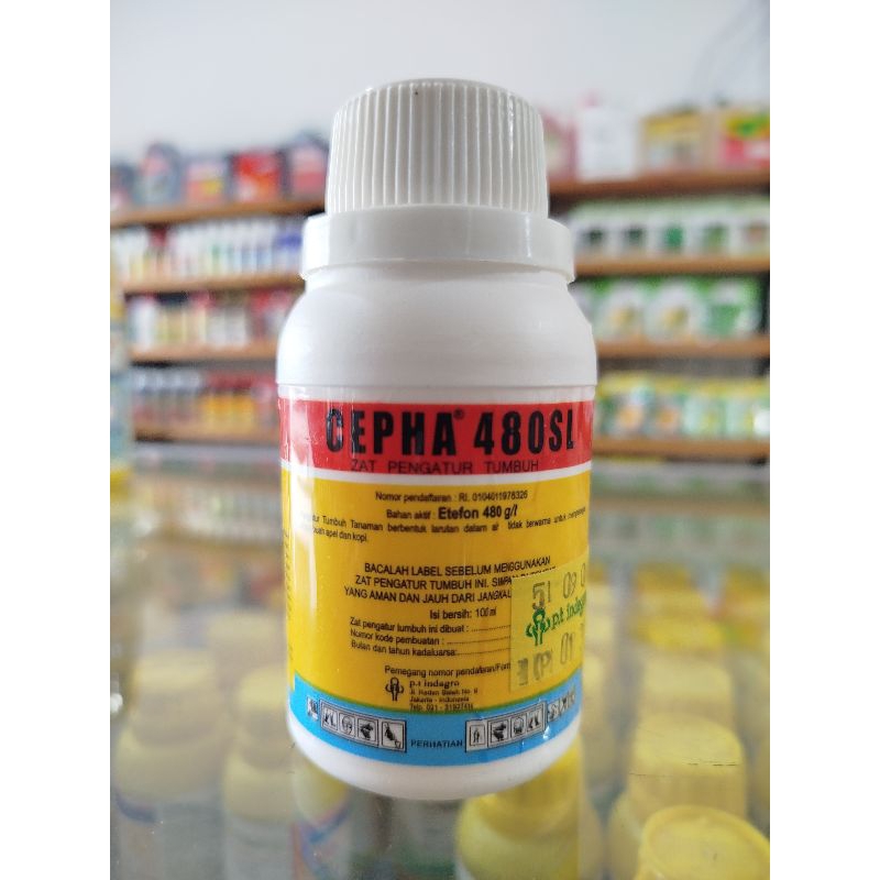 Cepha 480 SL 100 Ml