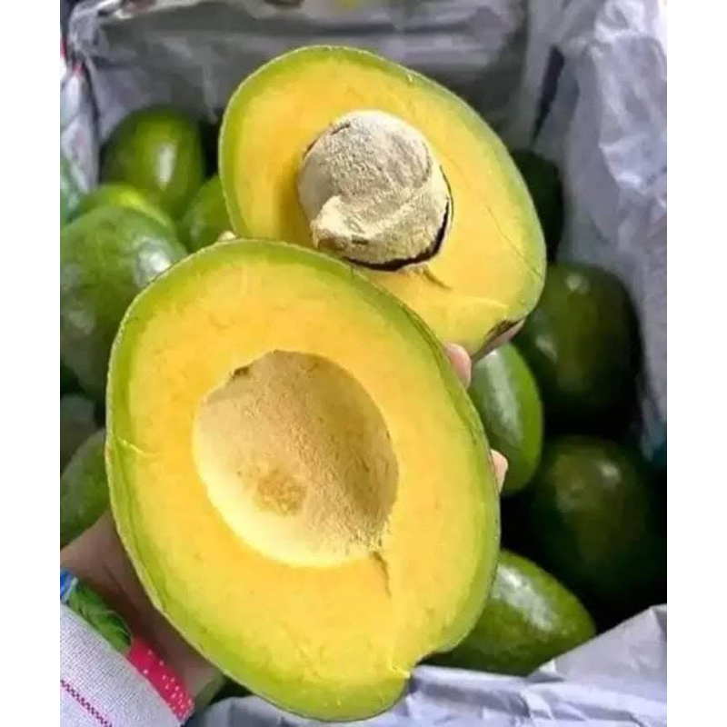 

alpukat mentega