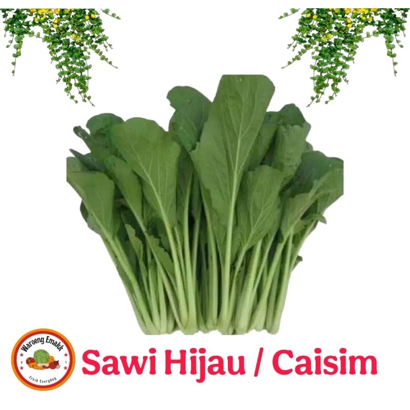 

SAWI HIJAU / CAISIM