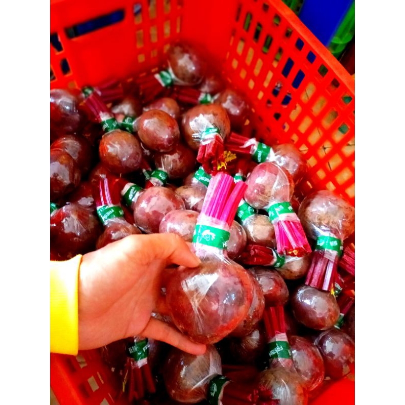 

BUAH BIT 1KG SPEK MARKET FRESH
