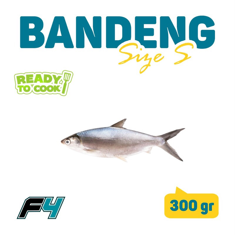 

Bandeng Cabut tulang sise S - 330 gr