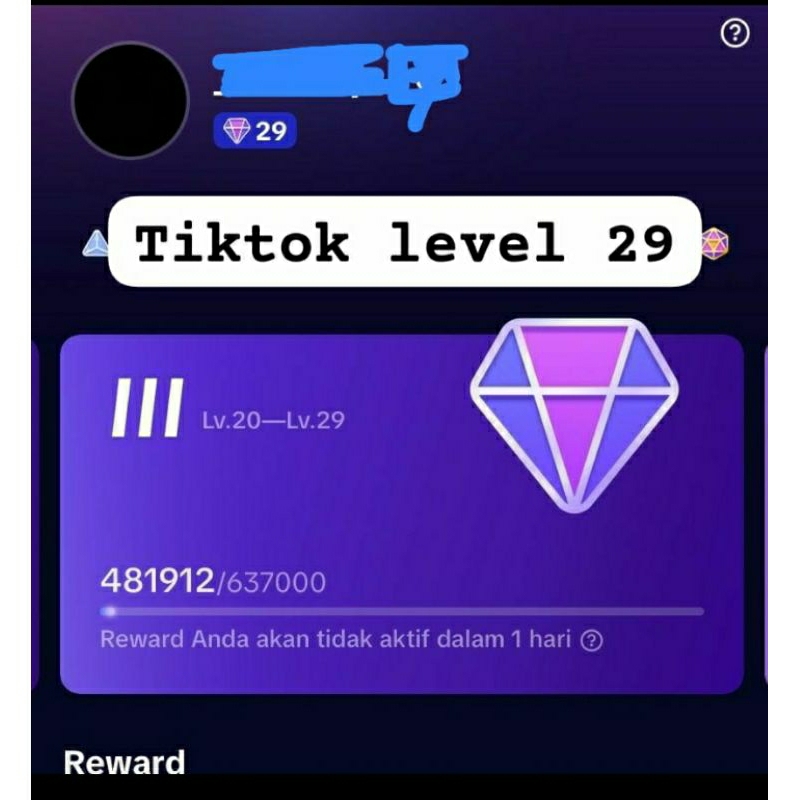akun tiktok level 29