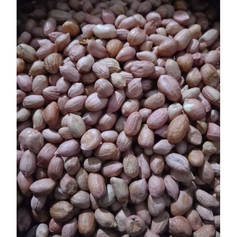 

Kacang Tanah Mentah super