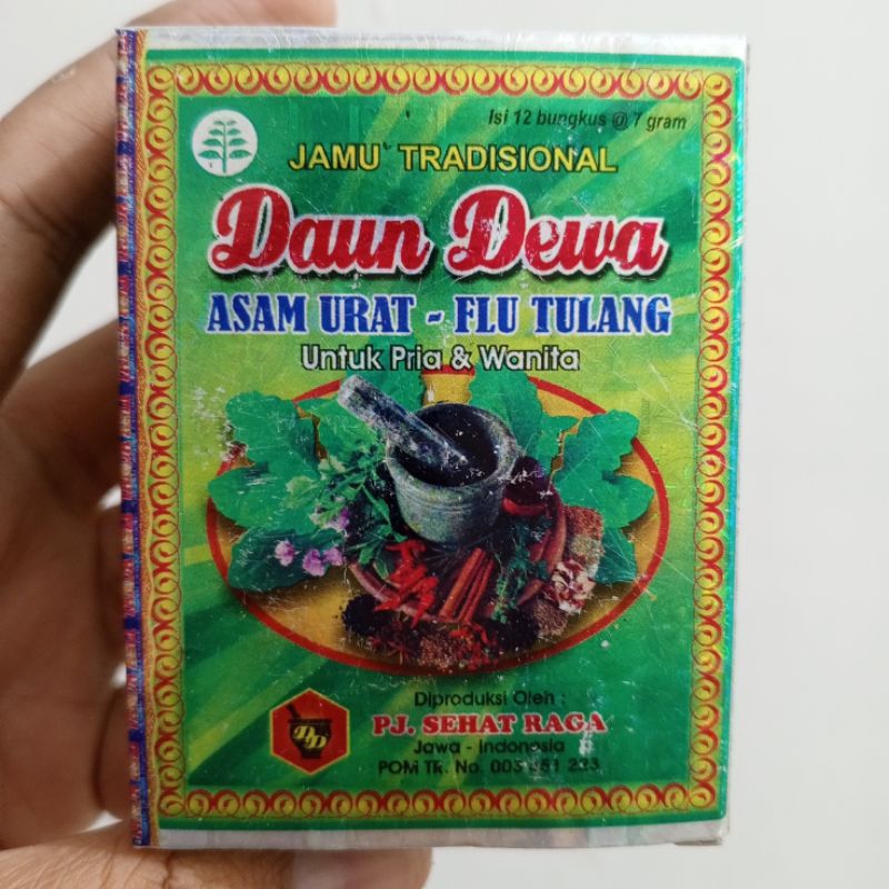 daun dewa obat asam urat dan flu tulang