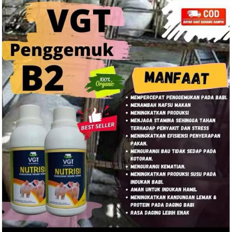 vgt penggemuk babi 250ml
