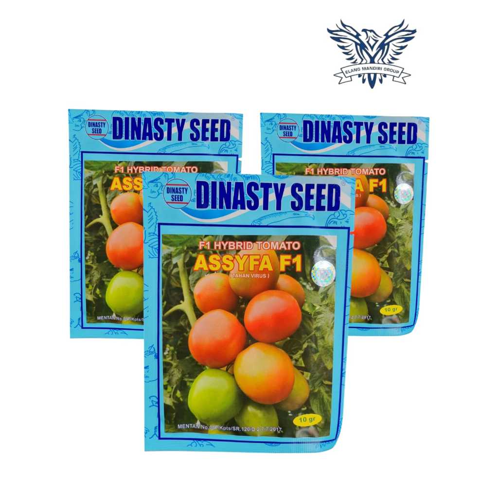 Assyfa F1 10gr Hybrid Tomato Dinasty Seed