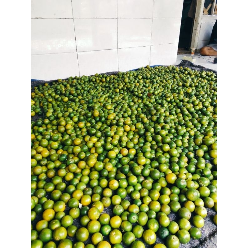 

jeruk Sunkist/jeruk kasturi/jeruk kunci