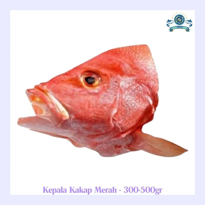 

Frozen kepala kakap merah ( 300 - 500 gram)