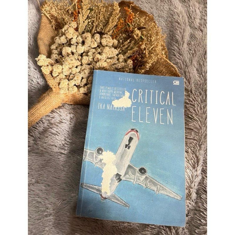 NOVEL CRITICAL ELEVEN