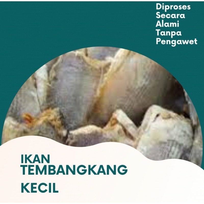 

IKAN TEMBANGKANG KECI