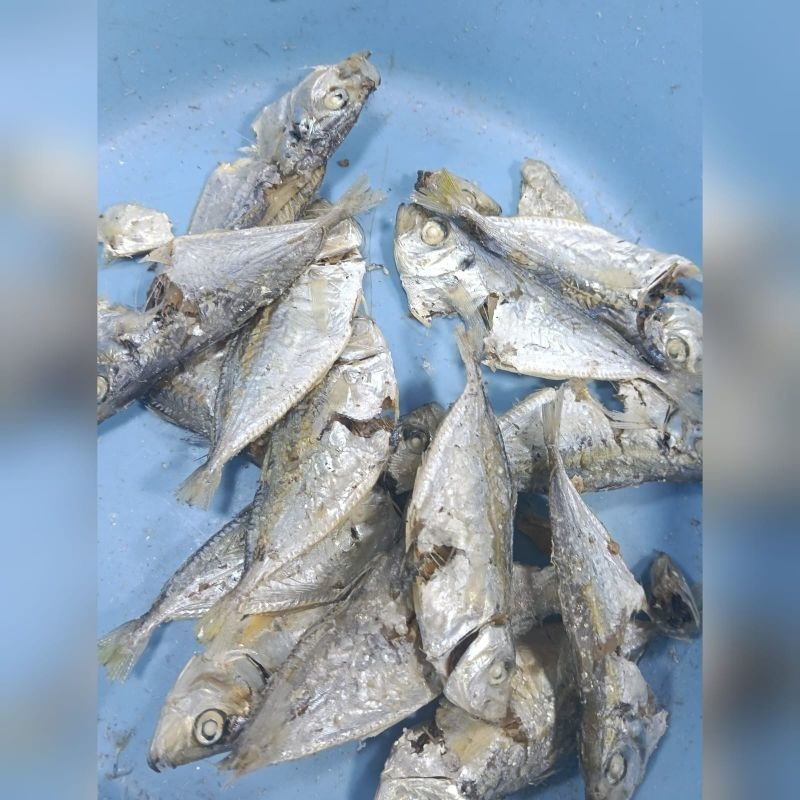 

ikan asin selar 250gr