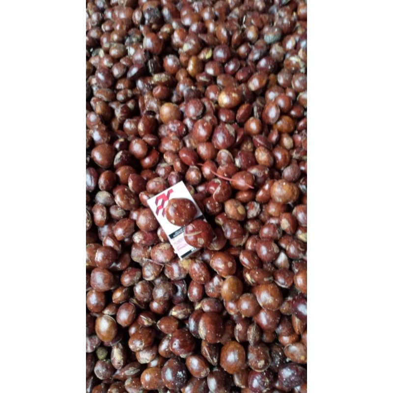 

Jengkol Sumatera Full Super 1 kg