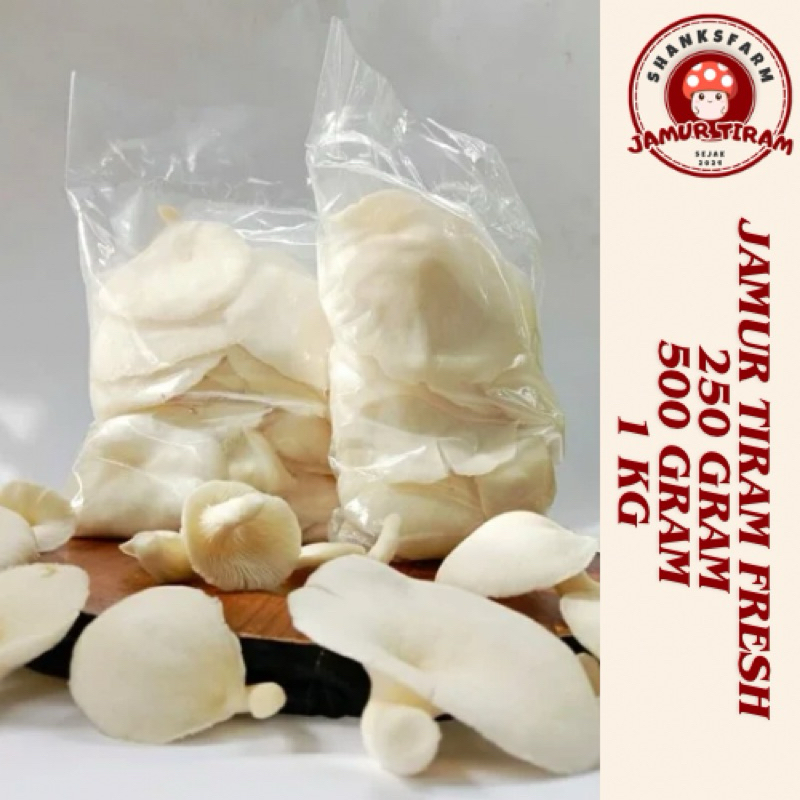 

JAMUR TIRAM FRESH 1 KG