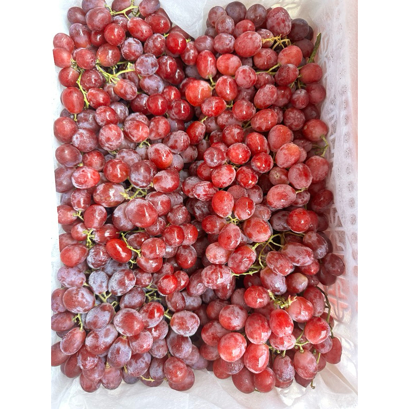 

Anggur Red Globe Australia Manis