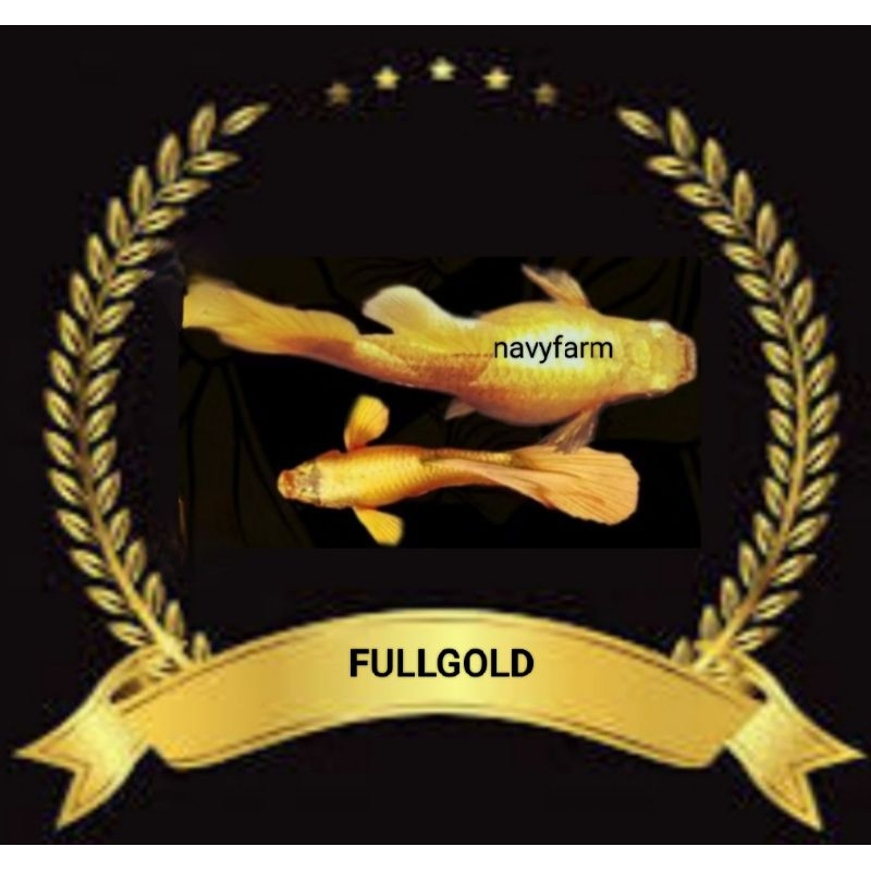 

STIKER UNIK FULLGOLD VIETNAM