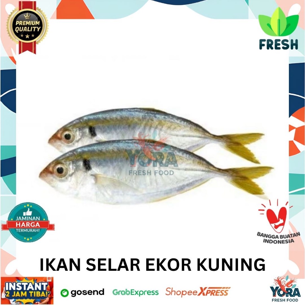 

IKAN SELAR EKOR KUNING KECIL INSTAN PREMIUM TERMURAH