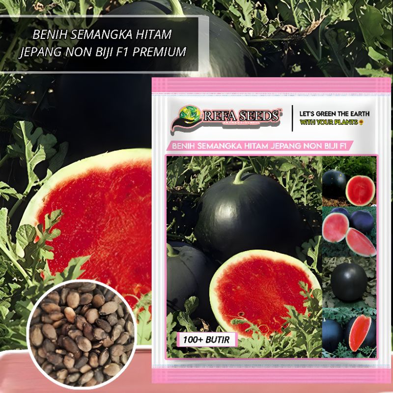 1 Pak 100 Biji Benih Semangka Hitam Jepang Non Biji F1 Original 100% / Buah semangka hitam jepang