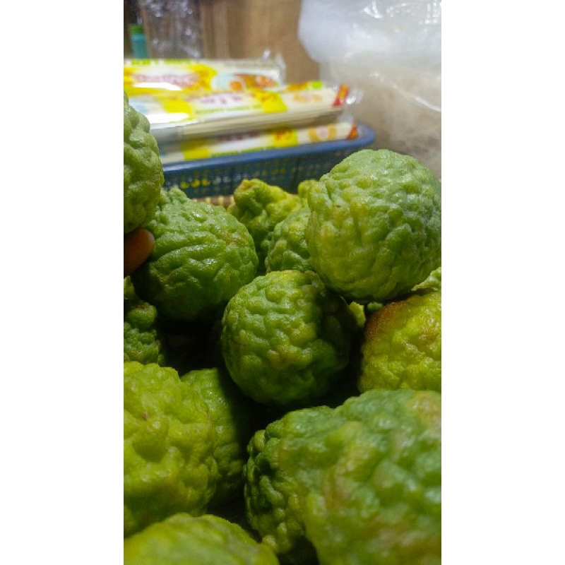 

Jeruk purut /uttei mungkur