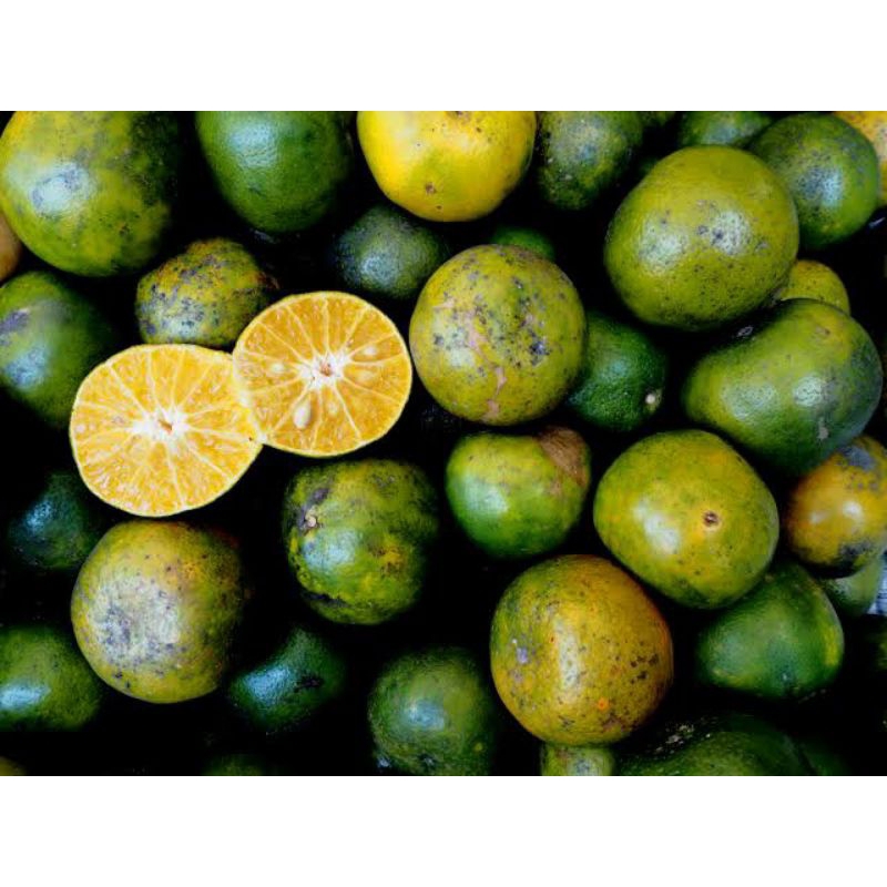 

Sayuran Jeruk Sambal 300 Gram