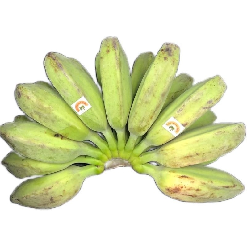

Pisang Kepok