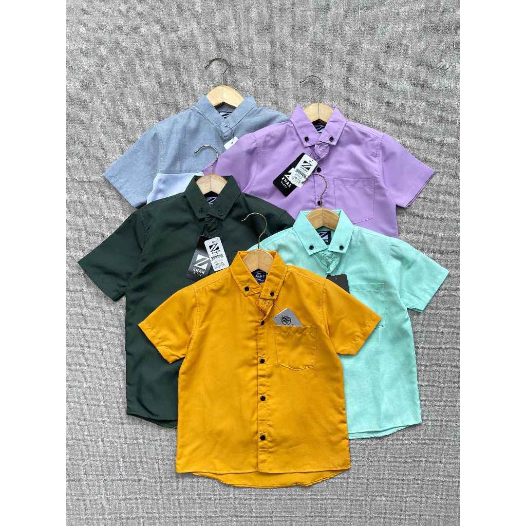 Mini Mode - Kemeja Hurley Kemeja anak laki laki hem