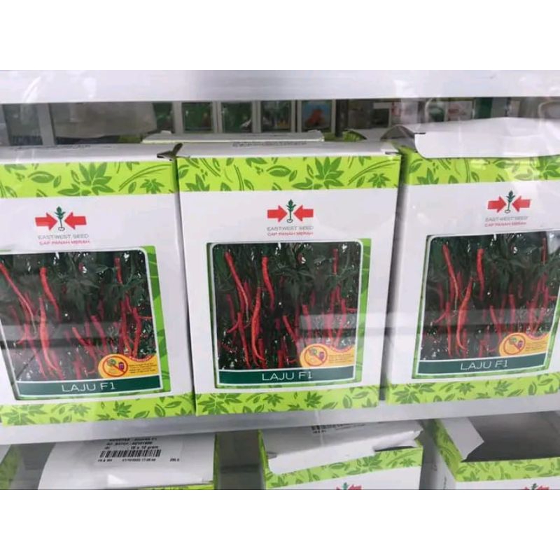 benih cabe kriting laju f1 10 gram
