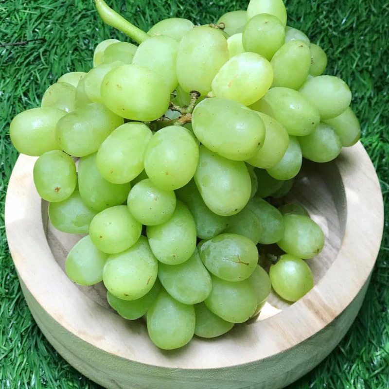 

PROMO Anggur Hijau ivory Manis Fresh 500gr