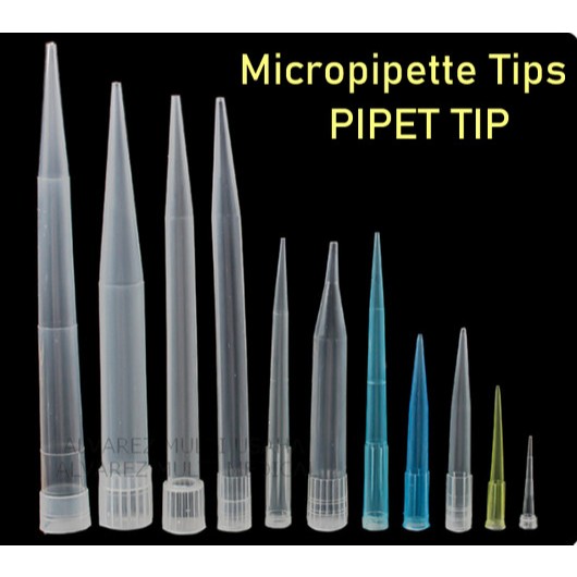 Micropipette Tips / Mikropipet Tip / Yellow Tip / Blue Tip / White Tip / Pipet Tips / Mikroliter Tip