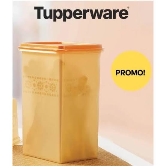 TUPPERWARE FLASH SALE - Toples Kotak/ Mosaic Sweet Saver (1 pc) Pilihan warna: Ungu / Gold PROMO HAN