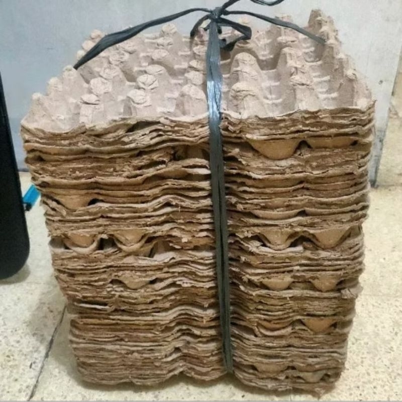 tray telur ayam/bebek karton bekas pakai