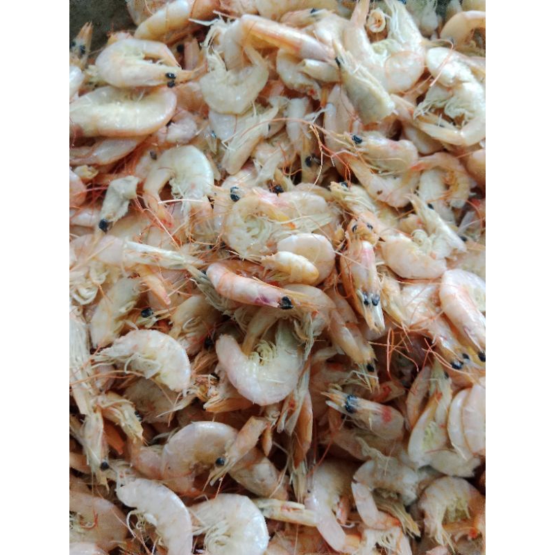 

Udang manis 100gram