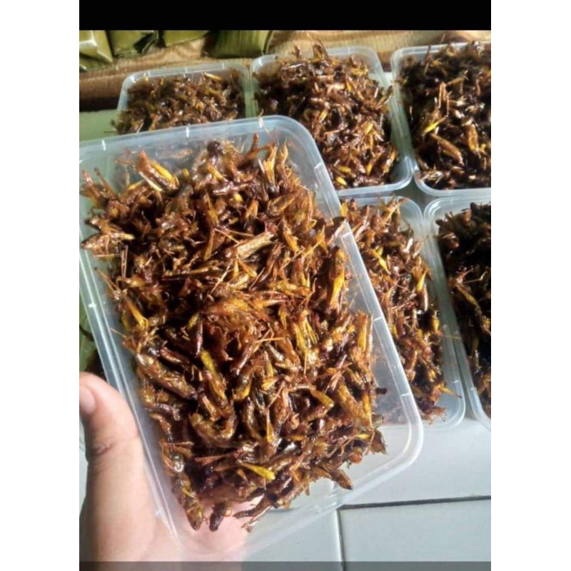 

Belalang goreng utes kemasan 750ml original
