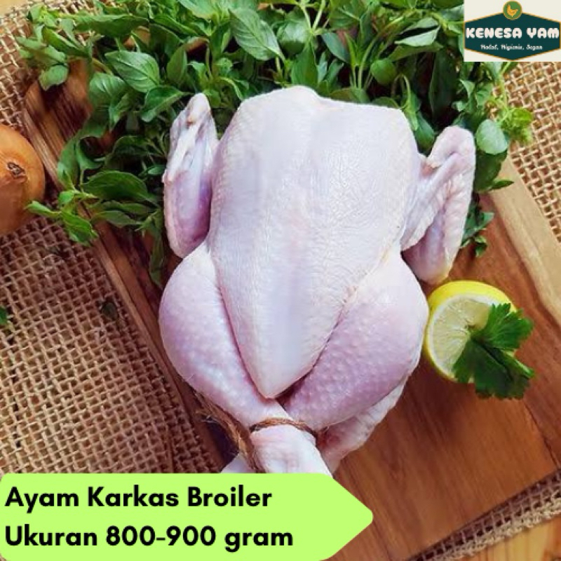

Ayam Karkas Broiler Ukuran 800-900 Gram | Fresh Frozen | Paling Murah