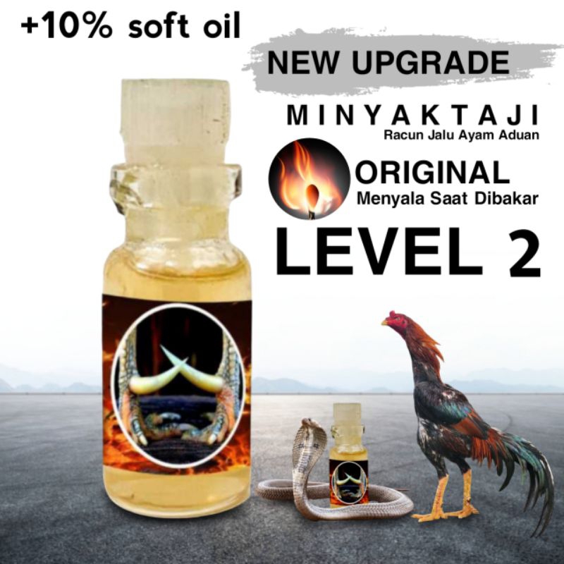 pakhoy jamu ayam original minyak taji level 2
