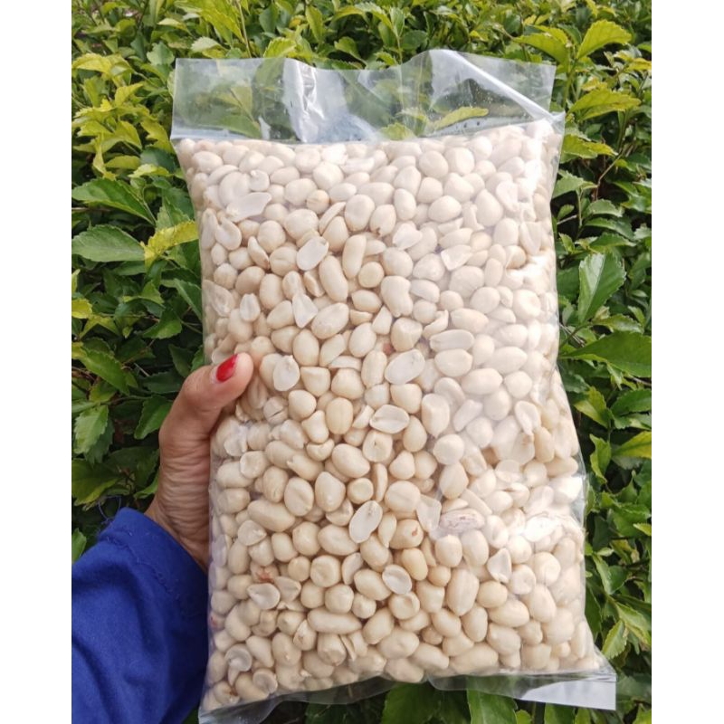 

JUAL KACANG TANAH KUPAS (BESAR SEDANG)