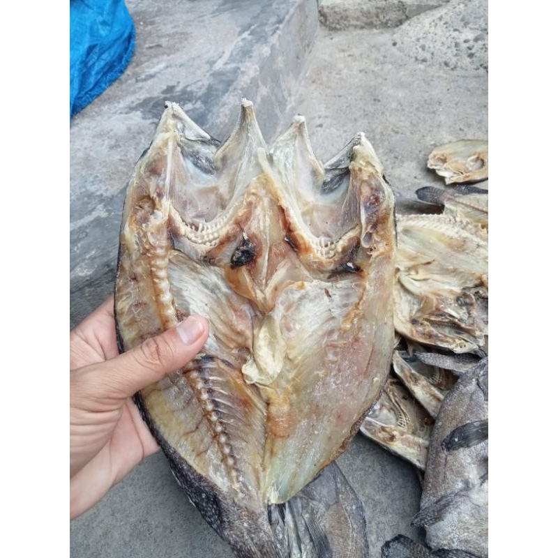 

Ikan asin sunu segar 1kg