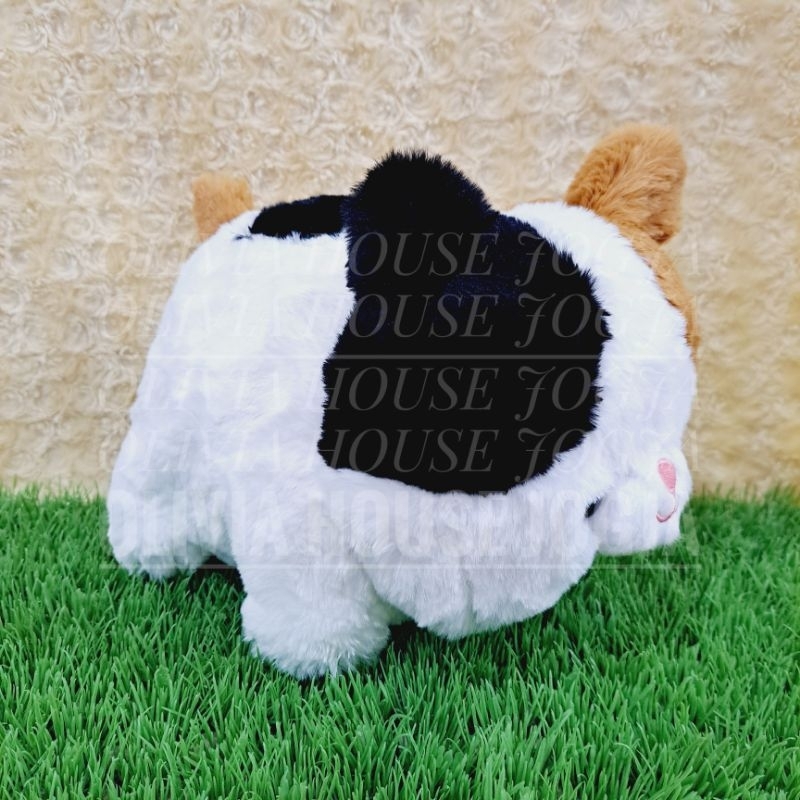 Boneka Lying Kucing Boneka Gembul Cat Telinga Hitam Coklat Boneka Tiduran Kucing Putih Titik Hitam E