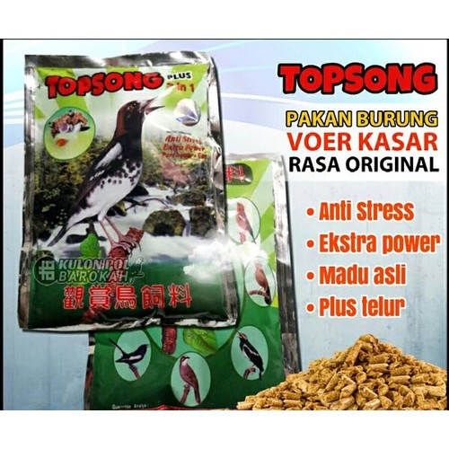 Topsong kuning, Topsong cokelat, Pakan Murai, Pur Burung