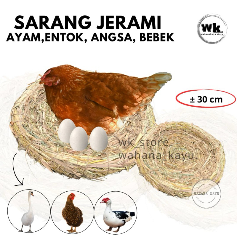 SARANG TARANGAN AYAM SERAT JERAMI | TARANGAN BURUNG DAN AYAM ( SARANG JADI SERAT JERAMI )