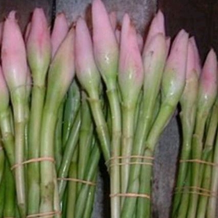 

Bunga Kecombrang Honje Rias Kincung 500gr