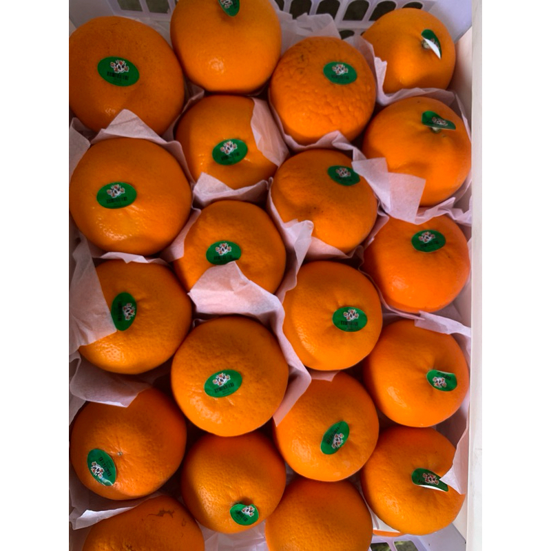 

Jeruk Wogan Citrus - 500gram
