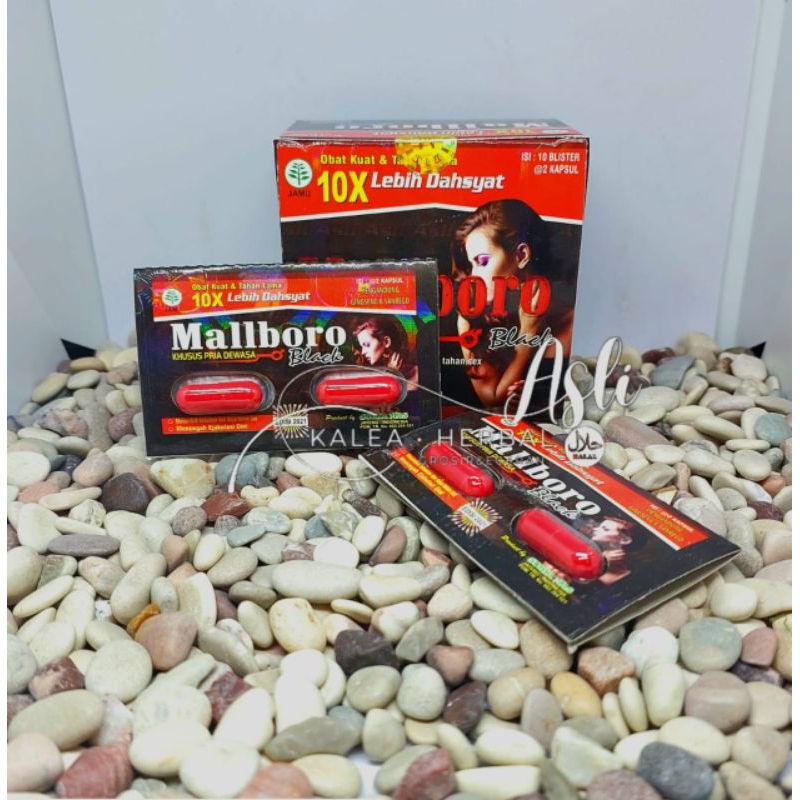 malboro kapsul