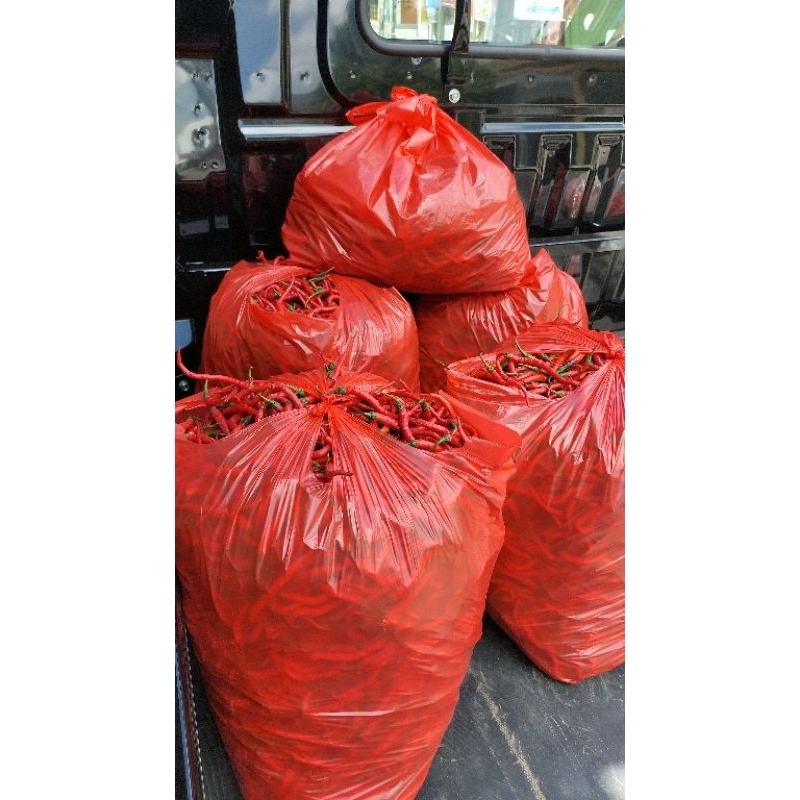 

Cabai Keriting Petik Sawah