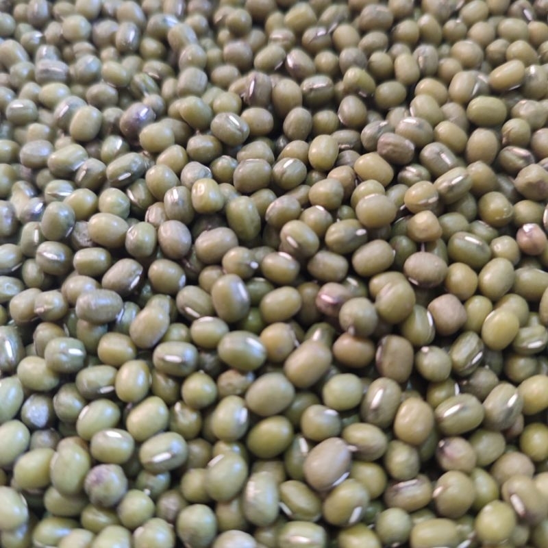 

Kacang Hijau Australia 250 gr repack