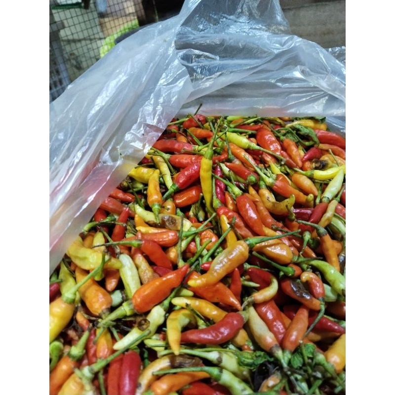

3 kg cabe rawit merah fresh pedas pol.