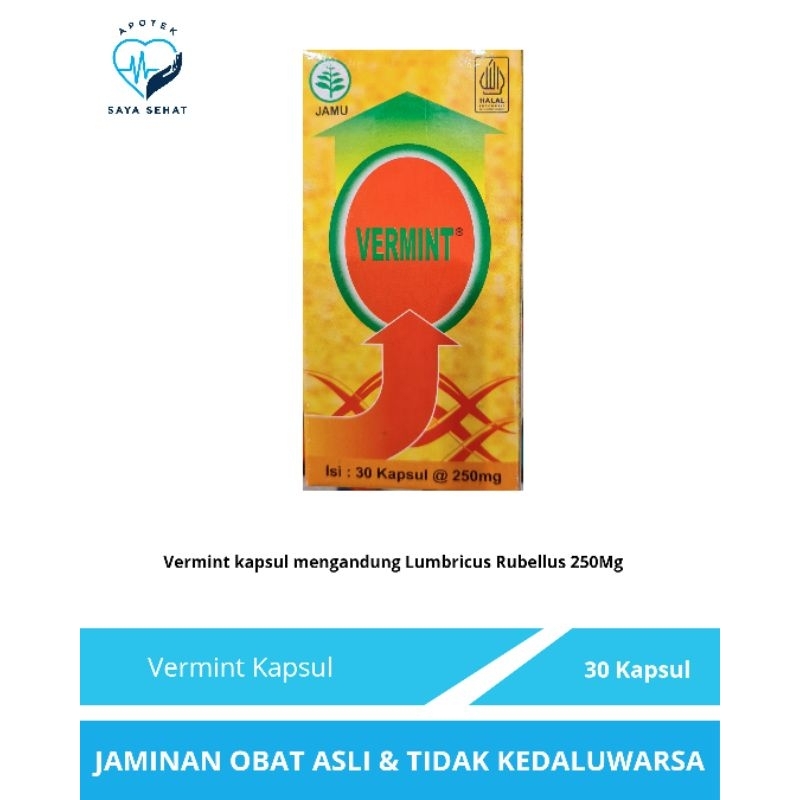 Vermint Obat Cacing